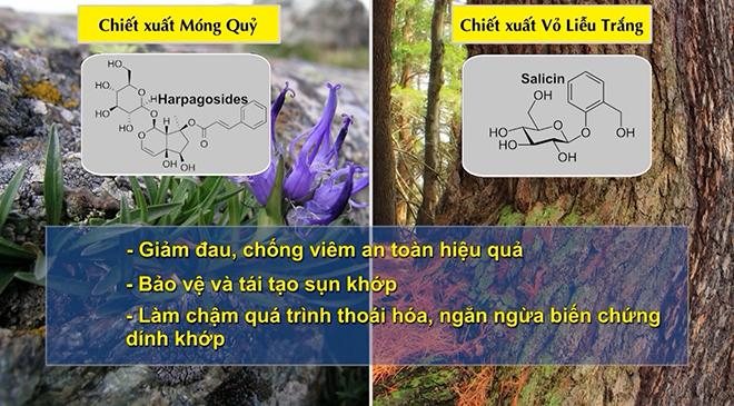 3 loại trái cây mùa hè “tốt như nhân sâm” cho người đau xương khớp - 4