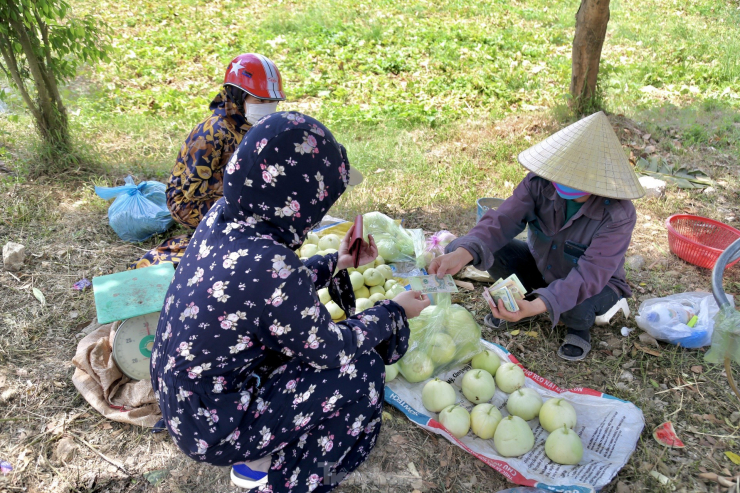 Sau khi thu hoạch, dưa hấu, dưa lê được thương lái thu mua tại ruộng. Ngoài ra, người dân còn mang lên bán cho người đi đường.