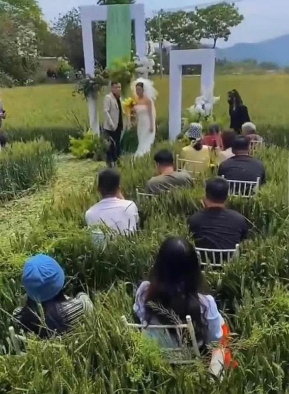 Làm đám cưới hòa mình thiên nhiên, cặp đôi khiến netizen tá hỏa - 4