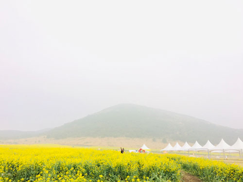 Hạ cánh nơi... Jeju - 2