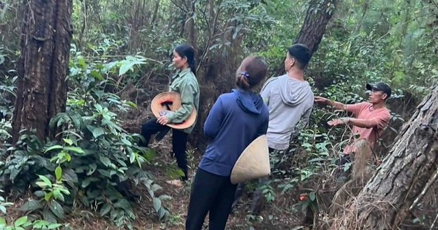 Nghe tin em Kế mất tích nhiều người dân lên rừng tìm kiếm nhưng không có kết quả. Ảnh: Facebook