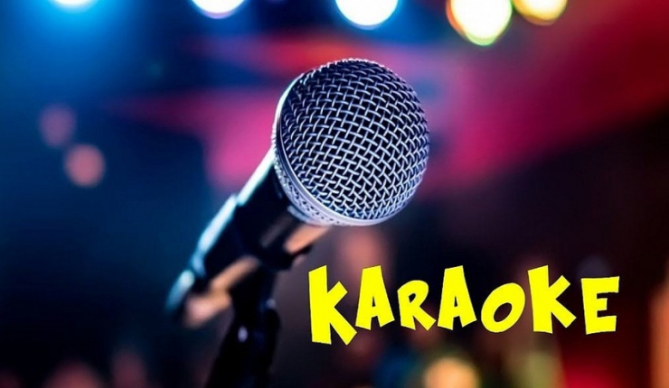 Thủ tướng chỉ đạo gỡ vướng cho hoạt động kinh doanh karaoke - 1