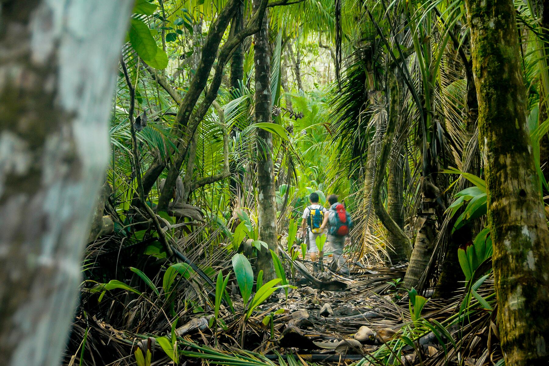 Những chuyến du lịch nguy hiểm nhất thế giới, chỉ dân trekking chuyên nghiệp mới dám thử sức - 3