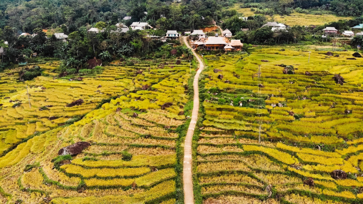 Uống ly cà phê, thảnh thơi ngắm mùa vàng Pù Luông - 10