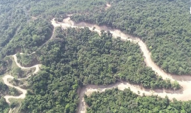 Xác minh vụ phá rừng tự nhiên để mở đường ở Quảng Ngãi - 1