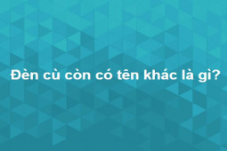 Trọn bộ câu hỏi siêu hóc búa khiến bao người phải vò đầu bứt tai