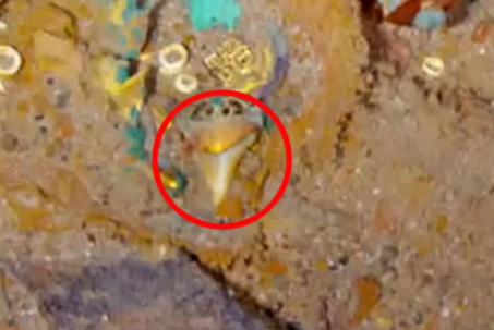 Điều gây kinh ngạc trên chiếc vòng cổ bằng vàng bị lãng quên bên trong xác tàu Titanic?