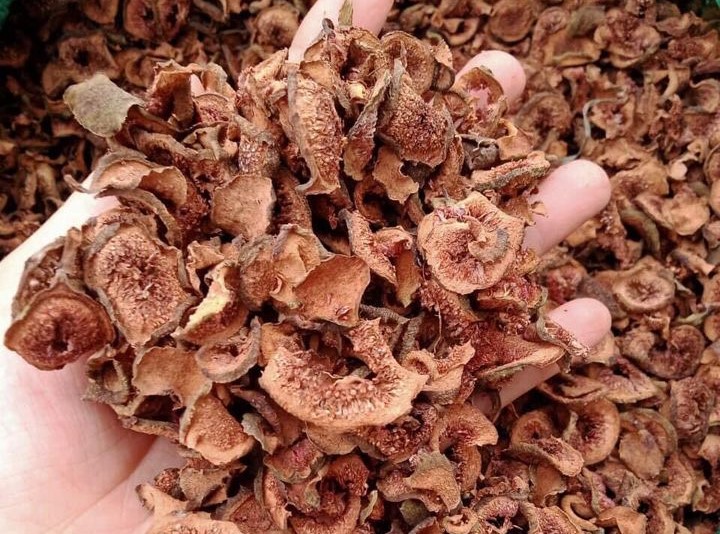 Sung khô có nơi bán giá đến 200.000 đồng/kg.