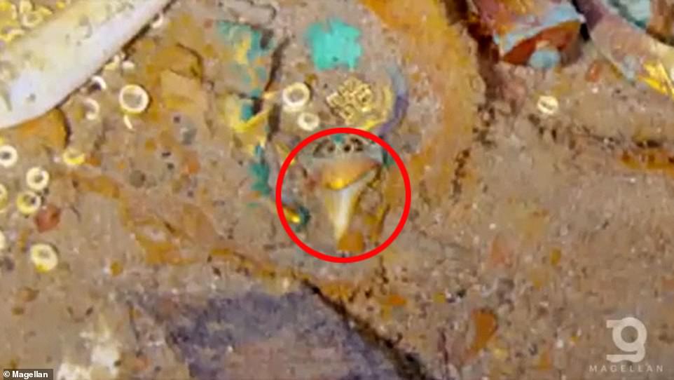 Điều gây kinh ngạc trên chiếc vòng cổ bằng vàng bị lãng quên bên trong xác tàu Titanic? - 1