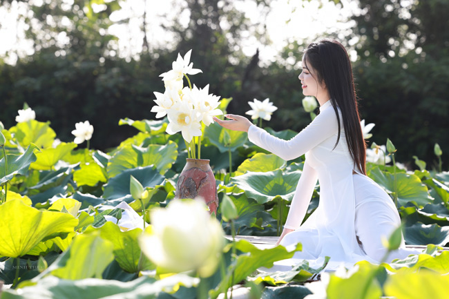 Hè về, hoa sen nở rộ, giới trẻ lại có dịp chụp những bộ ảnh kỷ niệm tuổi thanh xuân bên sen. 
