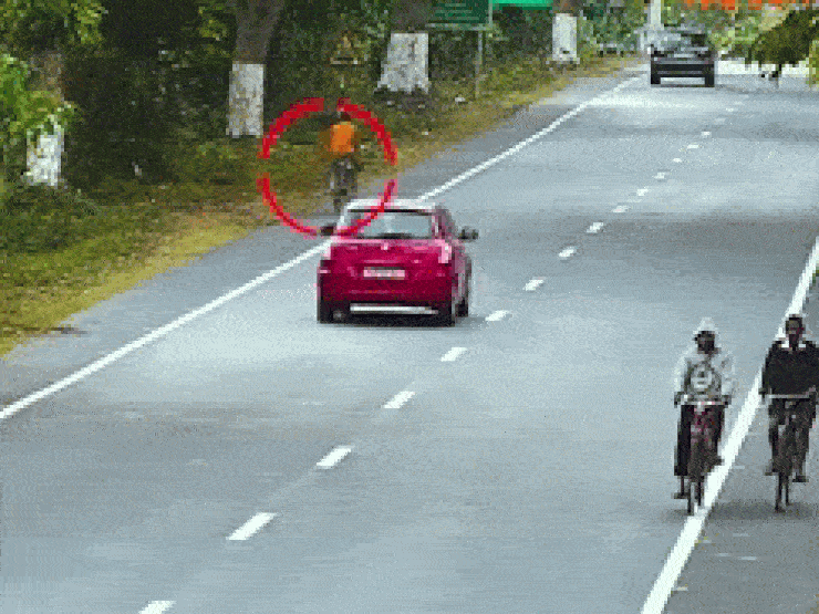 Clip: Đang đạp xe bị báo hoang lao ra vật ngã xuống đường