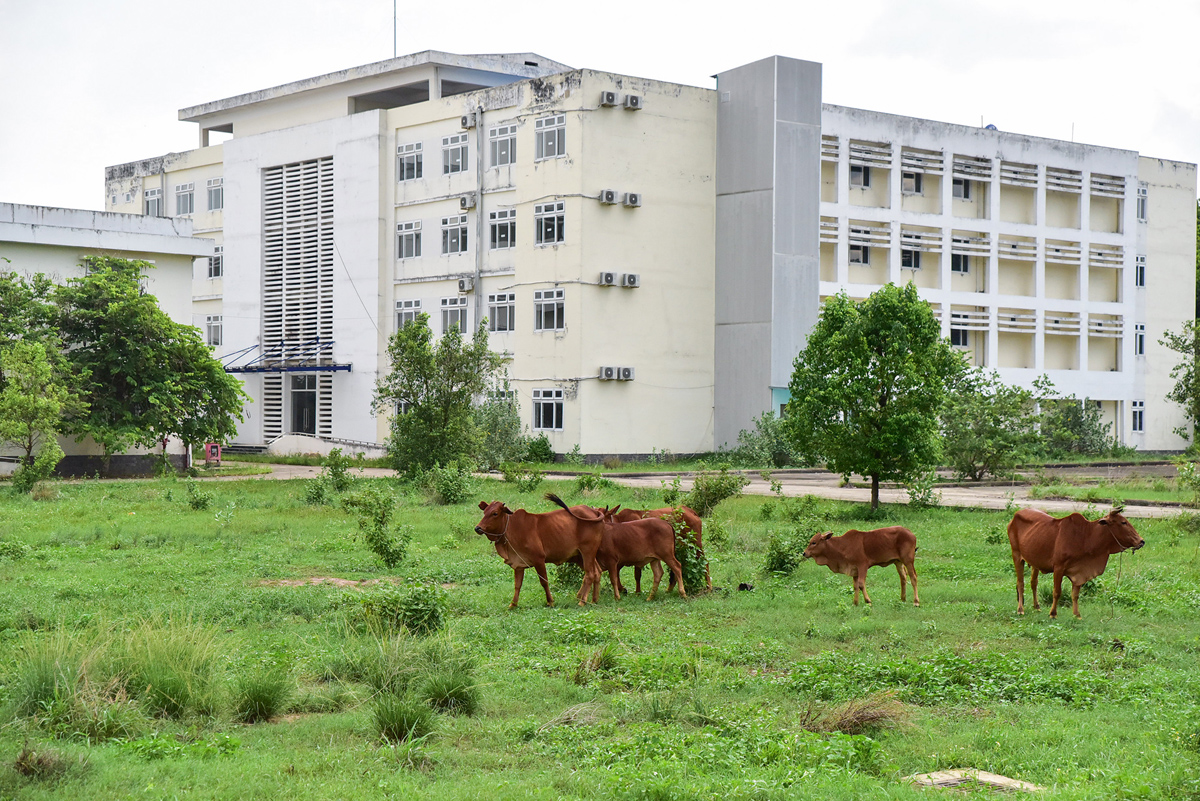 Hình ảnh khiến nhiều người xót xa, bệnh viện trăm tỷ thành nơi nuôi bò - 16