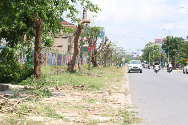 Cây xanh ở đường Phạm Văn Đồng bị cắt, tỉa cành.
