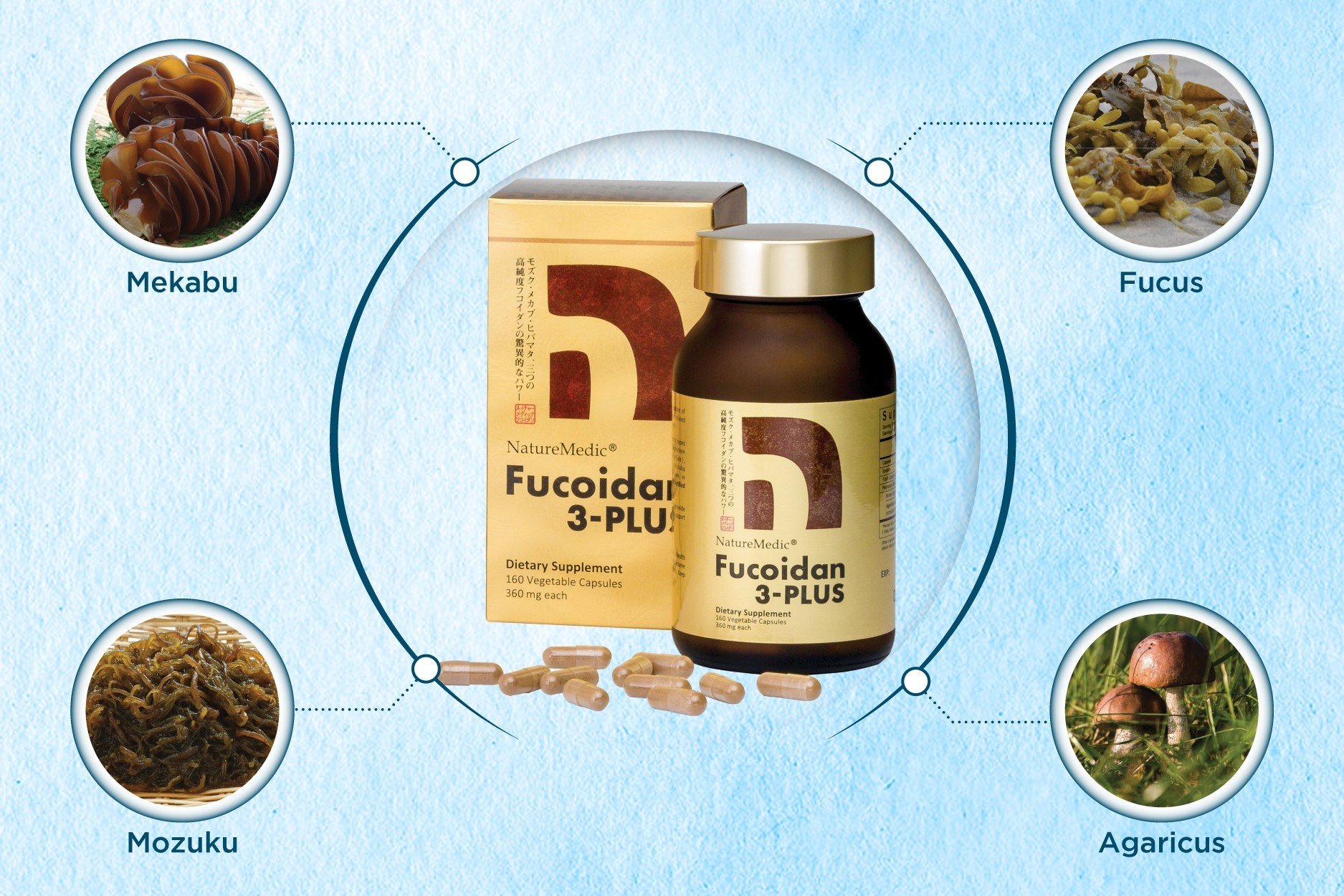 Hợp chất Fucoidan giúp hỗ trợ kiểm soát cân bằng hệ miễn dịch - 2