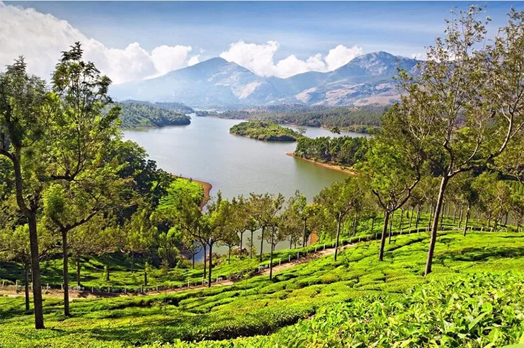 Munnar là sự kết hợp hoàn hảo giữa vẻ đẹp tự nhiên và sự sang trọng, khí hậu ôn hòa và rất nhiều cây xanh.
