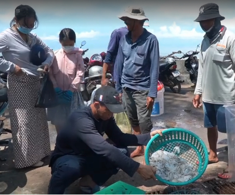 Giá trị dinh dưỡng tuyệt vời của bạch tuộc và sự thật ăn bạch tuộc làm tăng bản lĩnh phòng the - 1