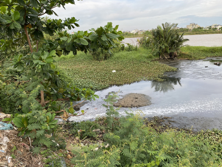 Nước thải sủi bọt trắng xoá đổ ra sông Cẩm Lệ tại cửa xả gần cầu Nguyễn Tri Phương