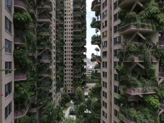 Thành phố ”rừng thẳng đứng” độc đáo ở TQ hóa ”thành phố ma”
