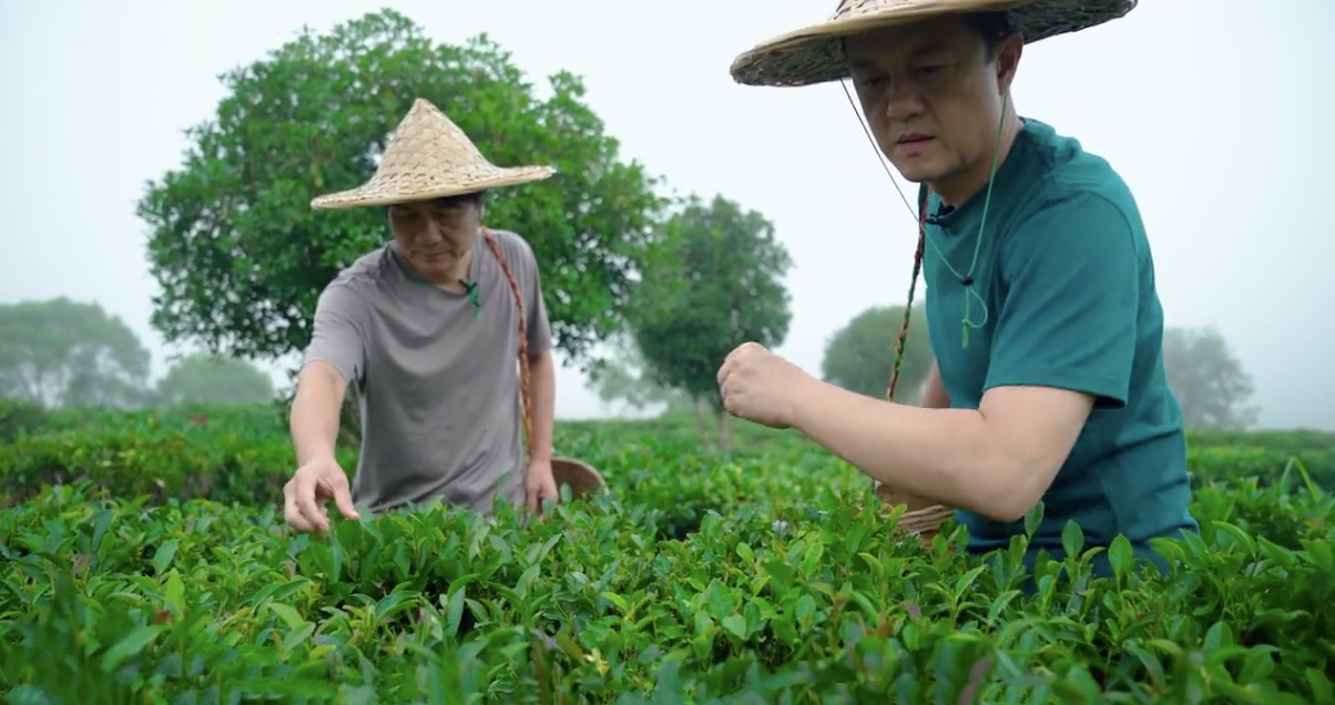 &#34;Lệnh Hồ Xung&#34; U60 bị chê thảm họa, dàn sao cùng vai đổi đời giàu có, tài sản hơn 16 tỉ đồng - 8