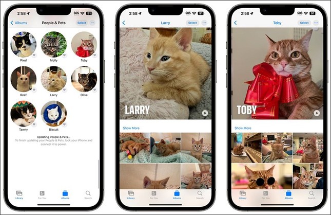 Tính năng nhận dạng ảnh thú cưng hoàn toàn mới trong iOS 17.