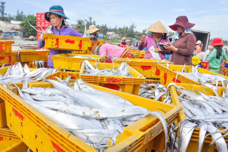 Những bãi biển hoang sơ khiến du khách say đắm khi đến với Quảng Ngãi - 12