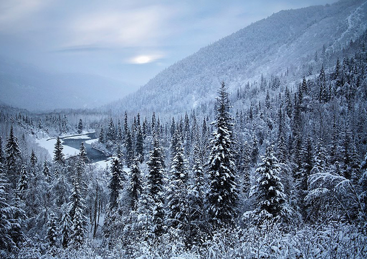 Bán đảo Kenai, Alaska, Mỹ nổi bật với địa hình miền núi gồ ghề bị đóng băng, các sườn núi thấp hơn được che phủ bởi rừng lá kim và bạch dương. Khung cảnh lạnh lẽo, hoang vu, đầy băng giá.
