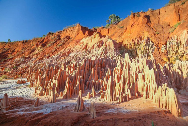 Madagasca: Là một trong những hệ sinh thái độc đáo nhất của Trái đất, vườn địa đàng Madagascar vô cùng quyến rũ du khách. Đến đây, bạn sẽ được khám phá những khu rừng Tsingy, tảng đá mestone được mệnh danh là "Rừng Dao" hoặc đến Công viên Quốc gia Masoala, nơi có nhiều loài động thực vật độc đáo không nơi nào có được trên trái đất.
