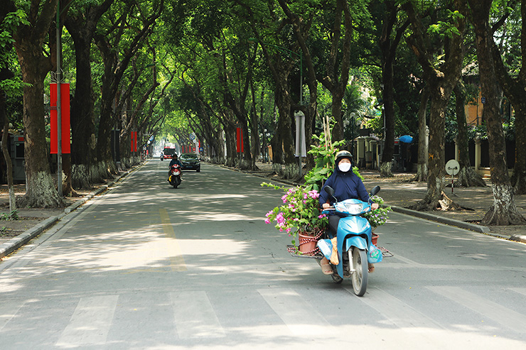 Hàng cây xanh 2 bên đường Phan Đình Phùng tỏa bóng mát giúp người đi đường bớt mệt mỏi trong những ngày hè nóng nực.
