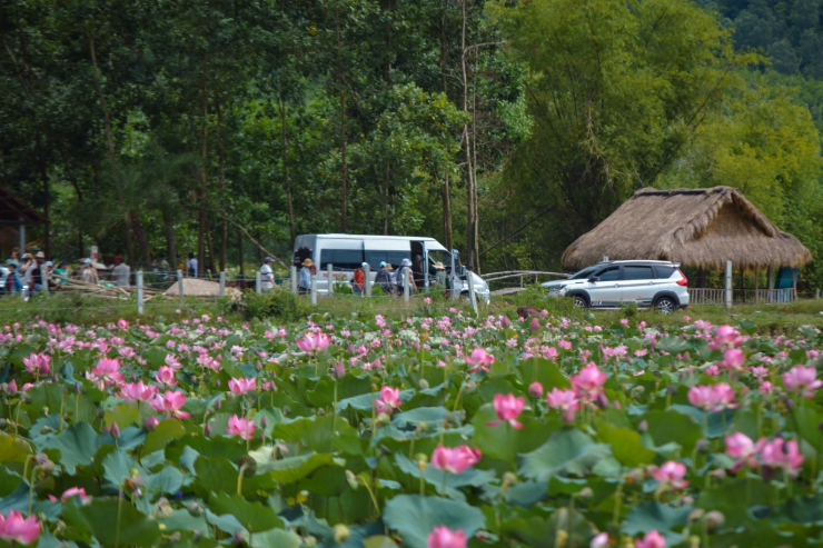 Do khu vực Trà Lý còn hoang sơ, đường sá hẻo lánh và vướng một số quy định về rừng phòng hộ nên việc phát triển du lịch ở khu vực này vẫn còn hạn chế.