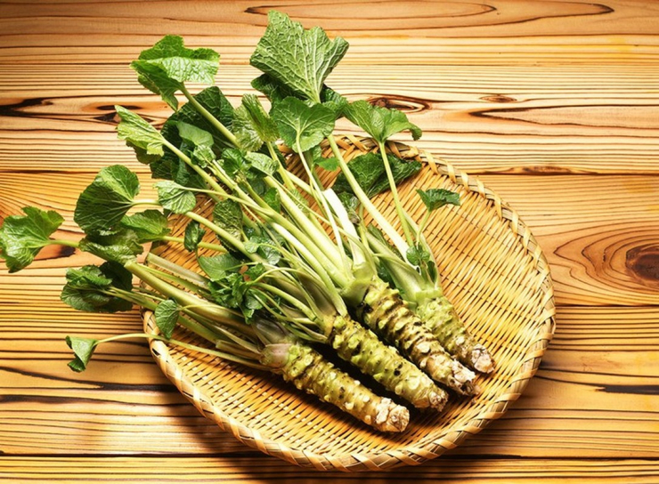 Do không nhiều lòng suối chảy trong các thung lũng ở Nhật Bản, nên việc trồng cây wasabi ở mức độ thương mại rất khó khăn. Thường phải mất khoảng 12-18 tháng, thậm chí 2 năm để một cây wasabi phát triển và thu hoạch được. Ảnh: Getty