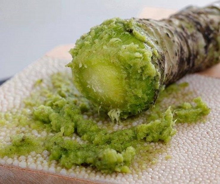 Với củ wasabi đã được mài nhuyễn thì chỉ có thể dùng trong 15 phút nếu không vị hăng và mùi thơm đặc trưng sẽ bị tan biến. Ảnh: Getty