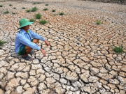 Tin tức trong ngày - El Nino chính thức xuất hiện, Việt Nam đối mặt nắng nóng, hạn hán khốc liệt