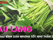 Ẩm thực - Rau lang - loài rau bình dân nhưng tốt như thần dược