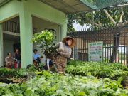 Thị trường - Tiêu dùng - Giá cà phê tăng vọt, cây giống ‘cháy hàng' ở Đắk Lắk