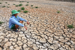 El Nino chính thức xuất hiện, Việt Nam đối mặt nắng nóng, hạn hán khốc liệt