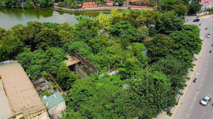 Phía bên trong khu đất, cây cỏ mọc rậm rạp, um tùm.