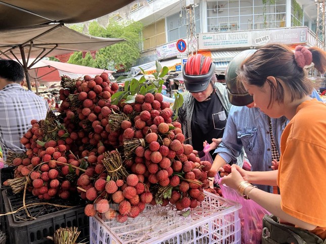 Giá chỉ 30.000 đồng/kg, bà nội trợ chen nhau lựa mua