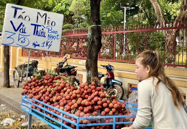 Người bán đưa vải thiều đến từng nhà dân để bán hàng