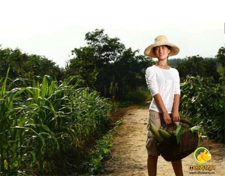 Shi Yan, người Trung Quốc từng học Đại học Thanh Hoa danh tiếng bậc nhất nước này, và thực tập ở Mỹ. Sau khi hoàn thành việc học, cô từng được trở thành giảng viên.&nbsp;
