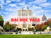 Giáo dục - du học - Đại học Yale: Ngôi trường đào tạo ra 5 đời tổng thống Mỹ