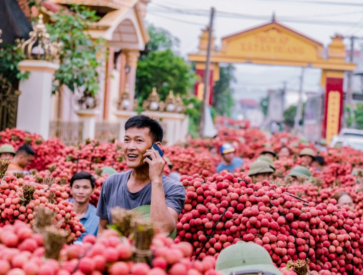 Bắt đầu từ 5 giờ, những thùng hàng chất đầy vải được vận chuyển ra các điểm thu mua.