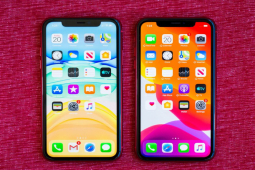 iPhone XR và iPhone 11 có còn đáng mua khi giá chưa đến 8 triệu?