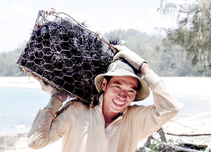 ‘Nàng tiên ngủ quên’ ở vùng biển Châu Me - 11