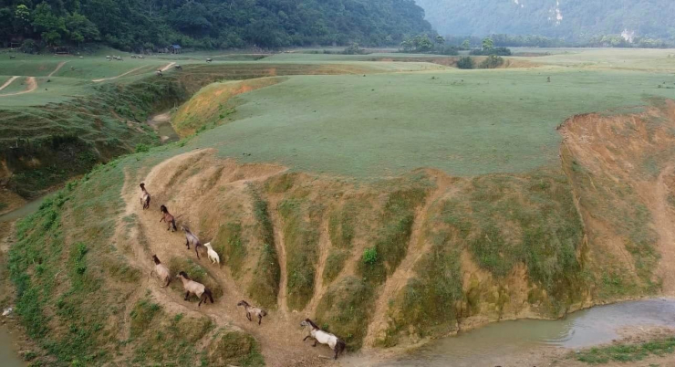 Đồng Lâm mang trong mình vẻ đẹp hoang sơ.