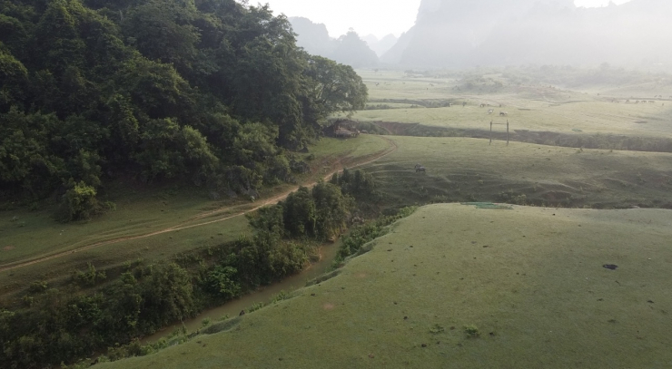 Thảo nguyên trong lành và cực chill.