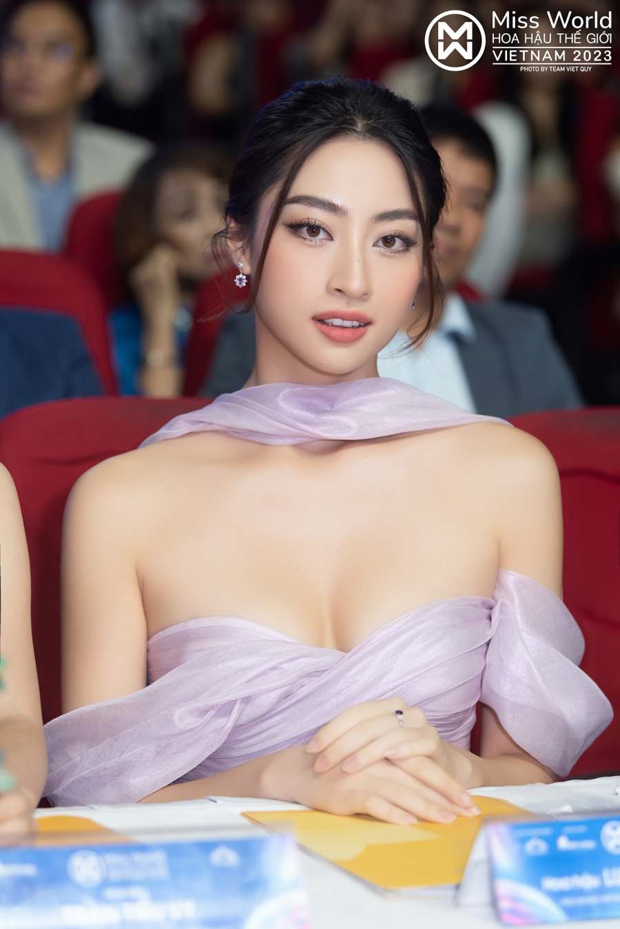 Phó trưởng BGK Miss World Vietnam Lương Thuỳ Linh: 