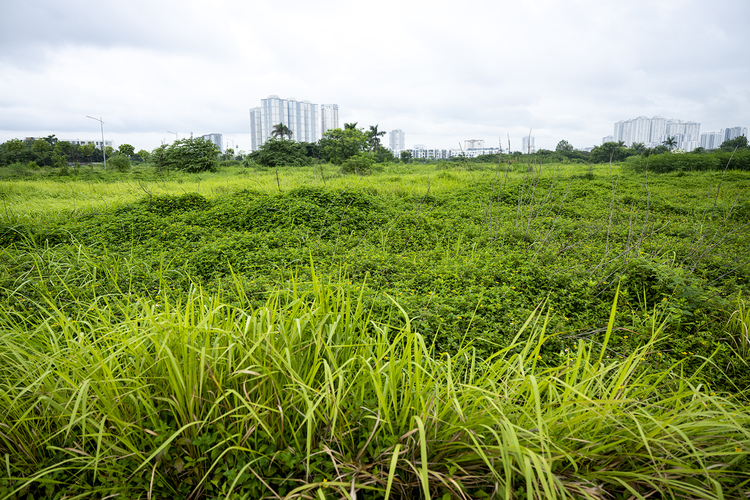 Hình ảnh ngổn ngang tại dự án công viên Chu Văn An - “lá phổ xanh” ở Tây Nam Hà Nội - 3