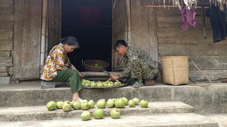 Về nhà, anh sẽ cùng ông bà thái lát ra và phơi khô, đóng túi đem bán.