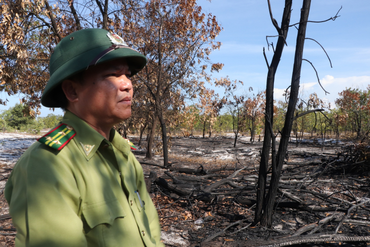 Đốt rừng… để diễn tập chữa cháy: Quảng Nam thừa nhận sai sót! - 2