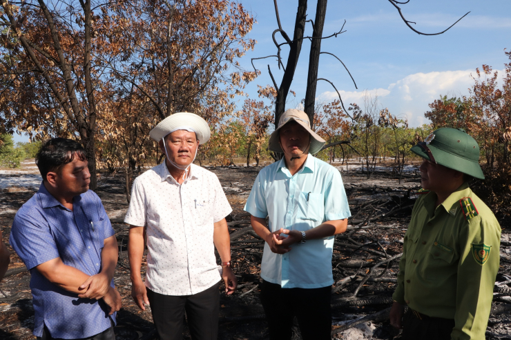 Đốt rừng… để diễn tập chữa cháy: Quảng Nam thừa nhận sai sót! - 3